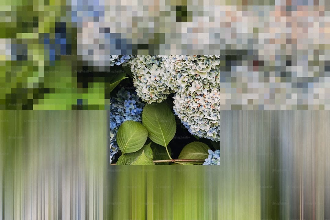 TVB艺人雪妮病逝 享年77岁